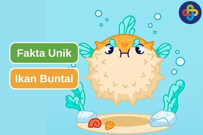 6 Fakta Menarik Tentang Ikan Buntal yang Perlu Kalian Ketahui